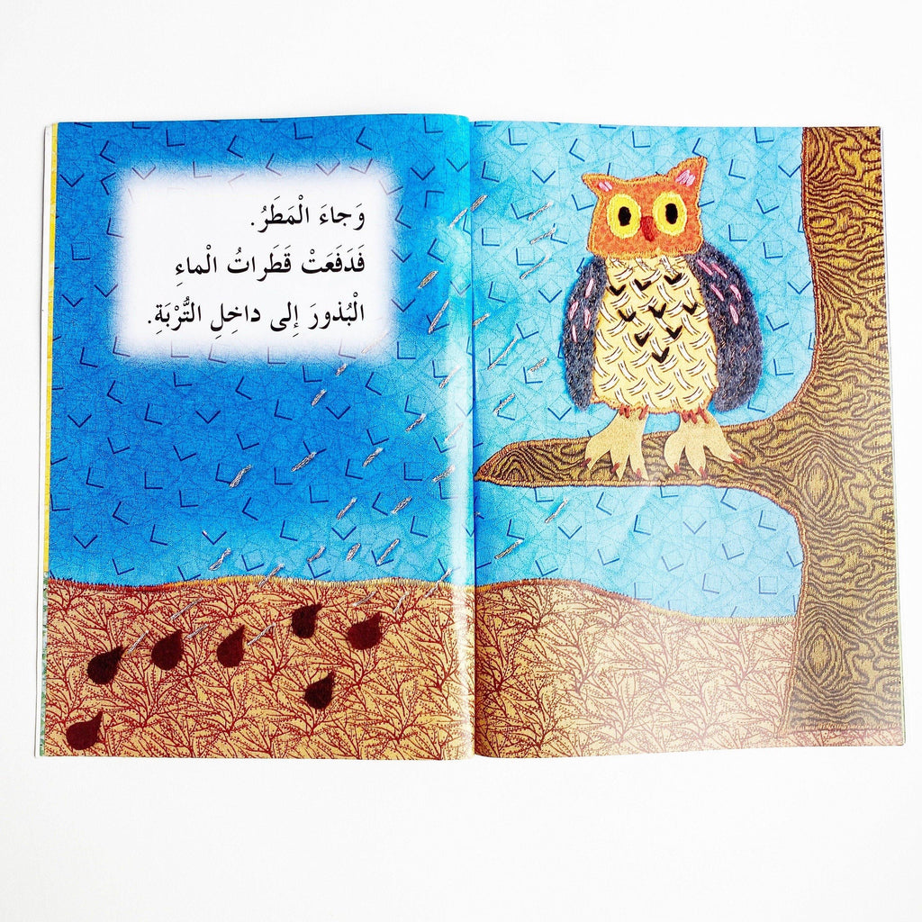 The Big Red Apple- Arabic children's book 