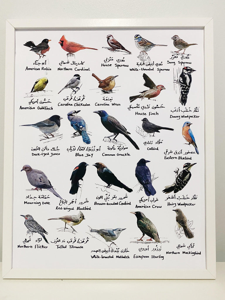 BILINGUAL BIRDS POSTER - Maktabatee 
