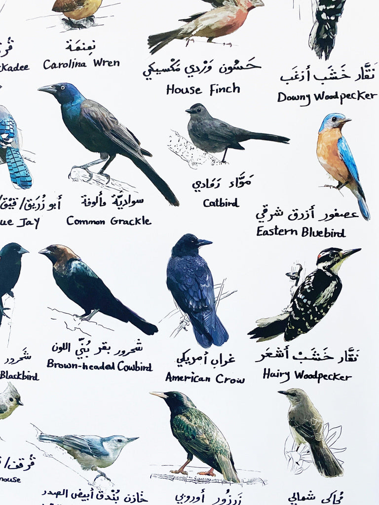 BILINGUAL BIRDS POSTER - Maktabatee 