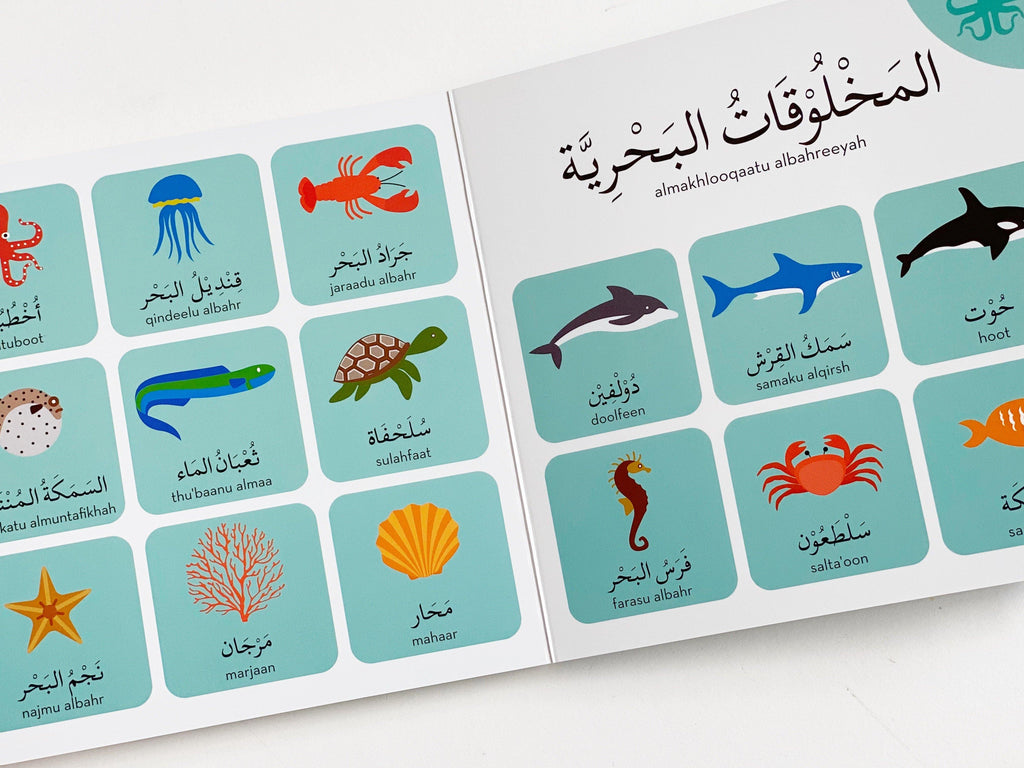 Arabic baby board book 