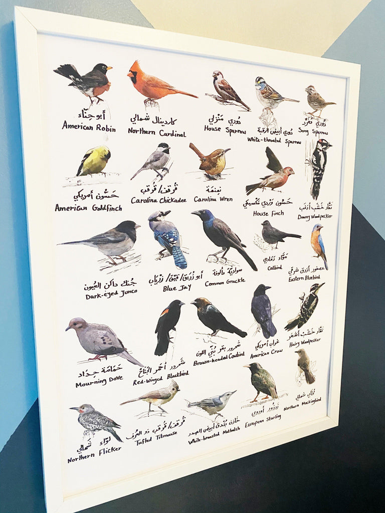 BILINGUAL BIRDS POSTER - Maktabatee 