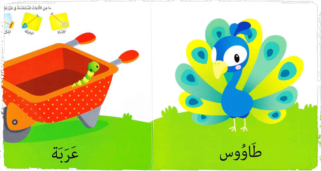 Arabic board book 