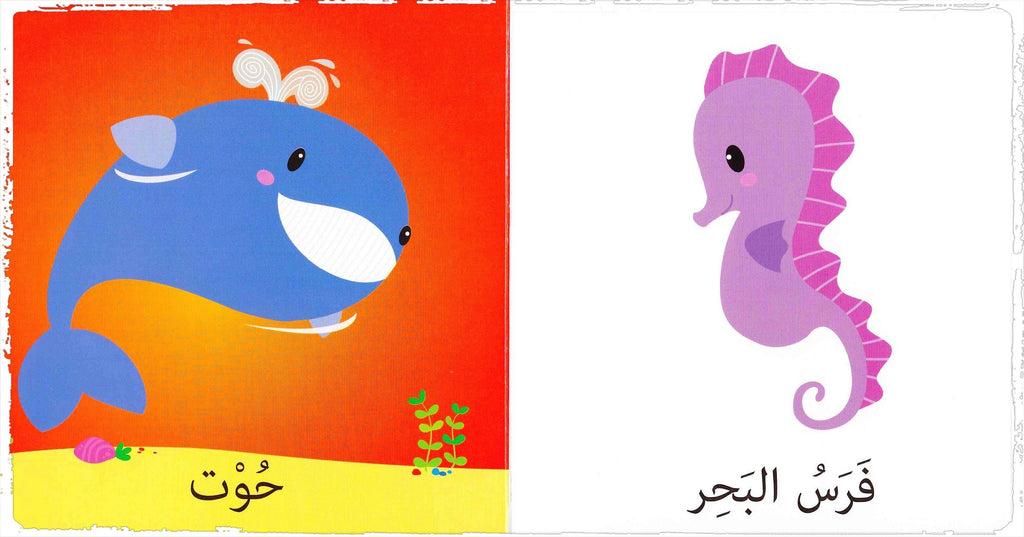 Arabic board book 
