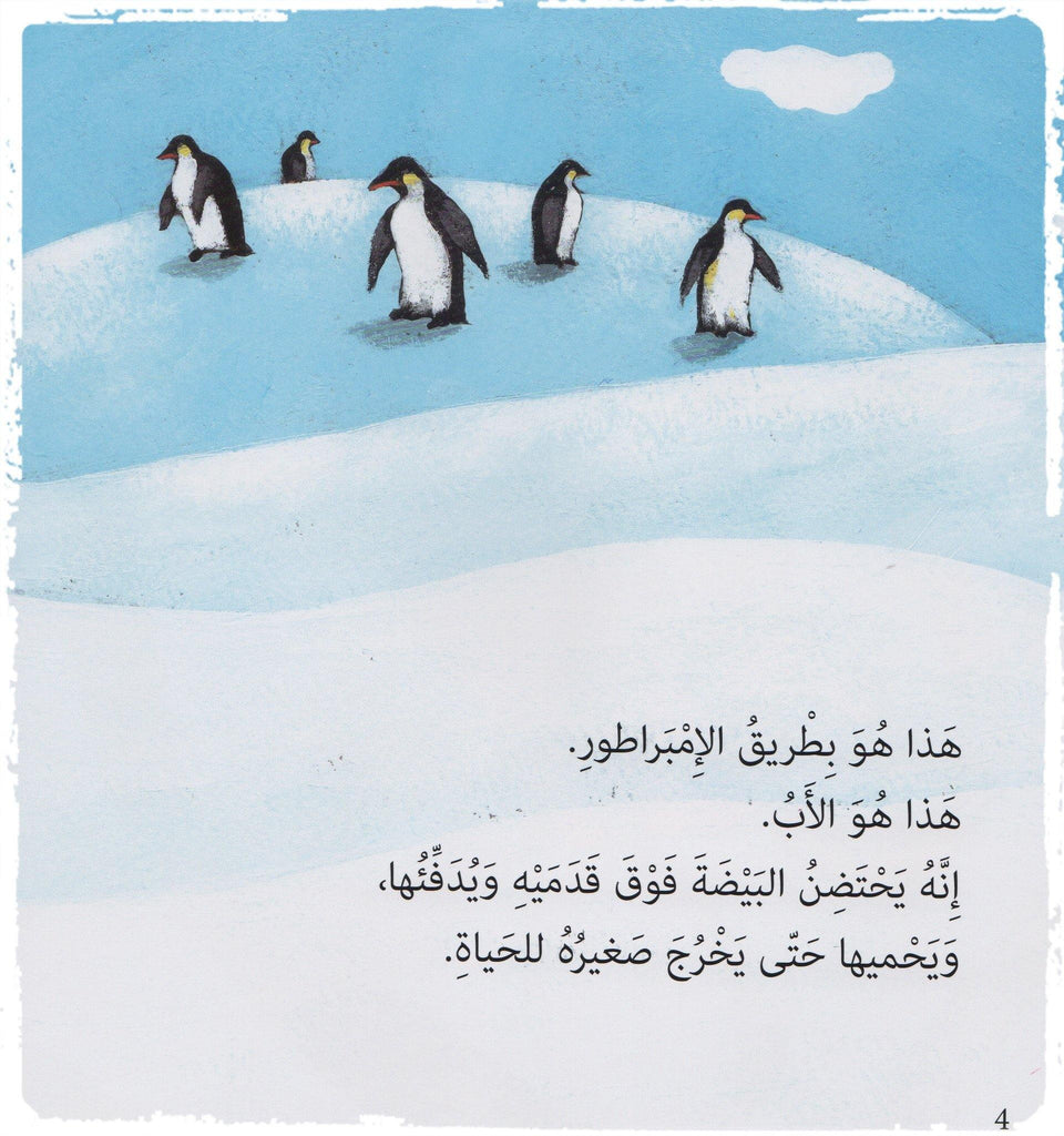 Arabic children's book